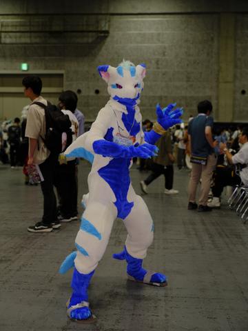 c2ex260801-131520-_DSF5557_R.JPG