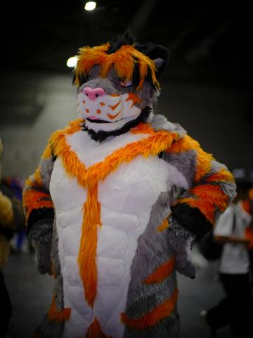 c2ex260802-143903-_DSF6241_R.JPG