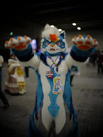 c2ex260802-161304-_DSF6400_R.JPG