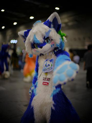c2ex260802-115038-_DSF5939_R.JPG