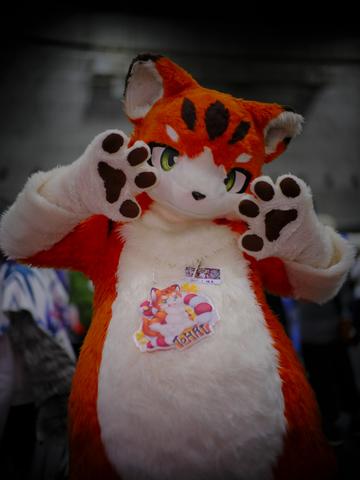c2ex260802-111931-_DSF5850_R.JPG